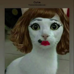 Meet your Posher, Tracy